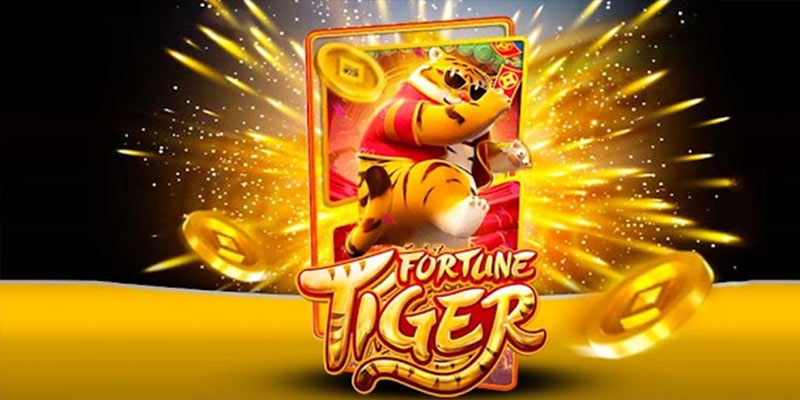 Quem é o Fortune Tiger 111betbet.Com